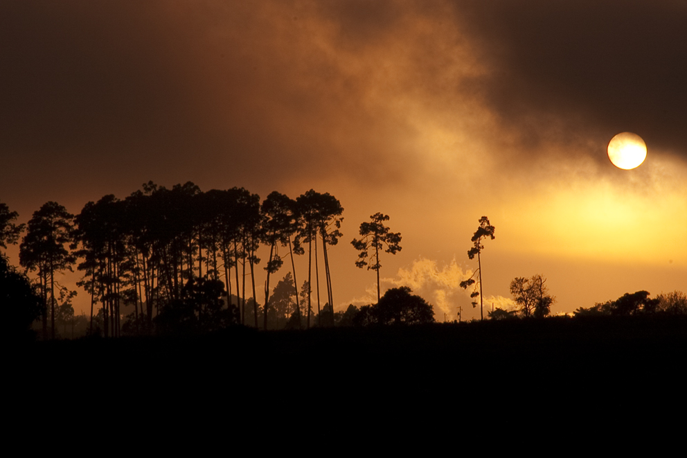 Atardecer Atzizintla Puebla,Ver (México )