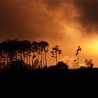 Atardecer Atzizintla Puebla,Ver (México )