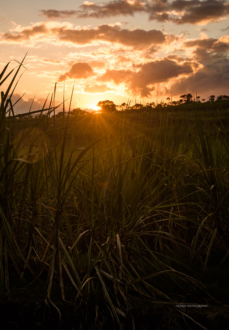 Atardecer !