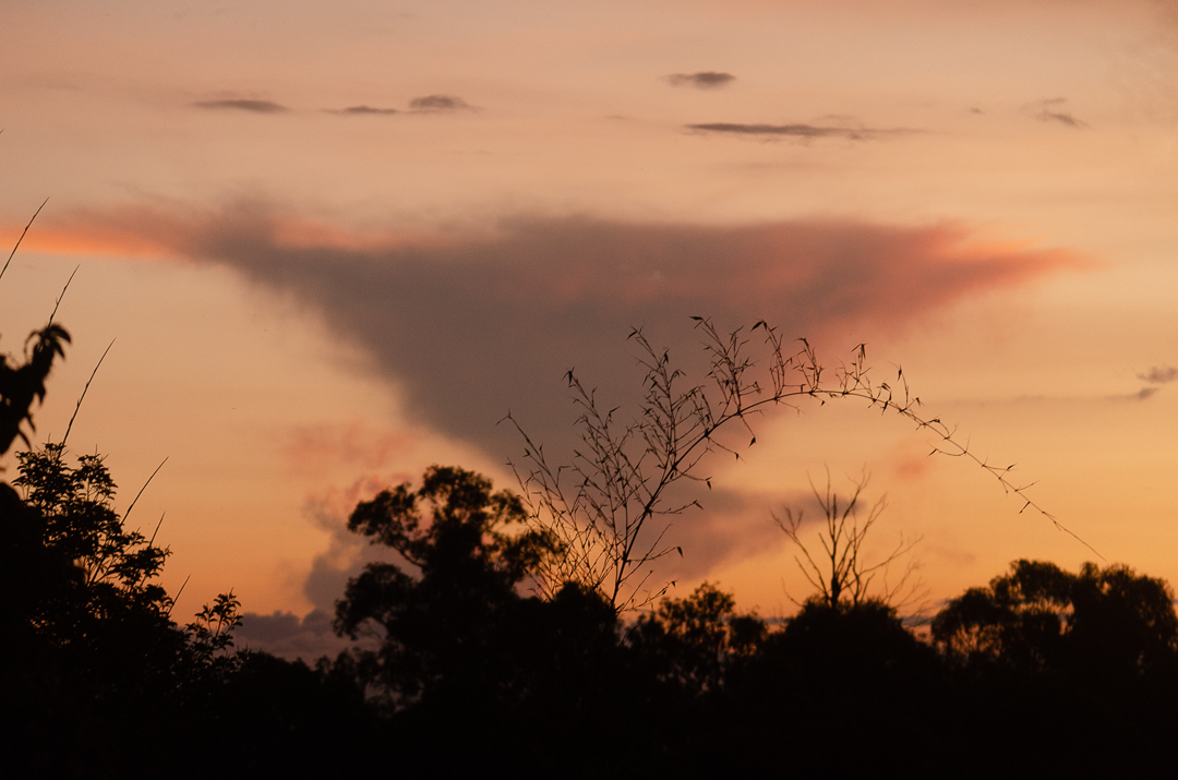 Atardecer