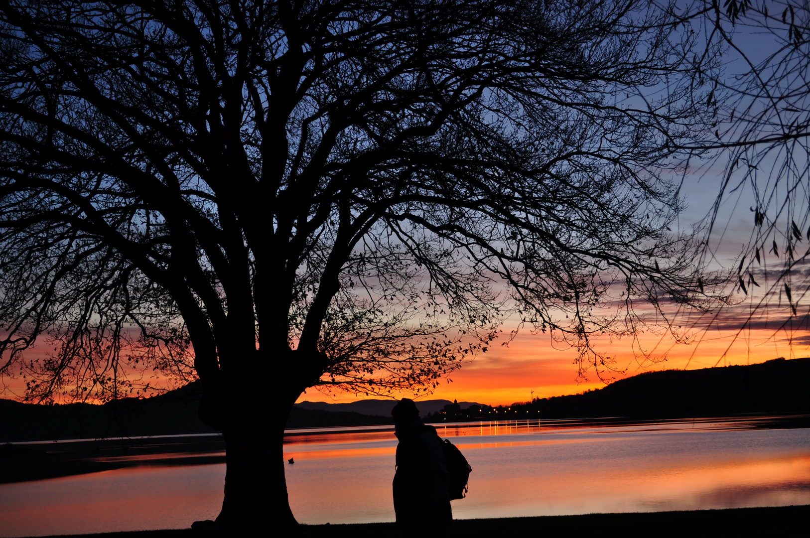 Atardecer bajo el roble