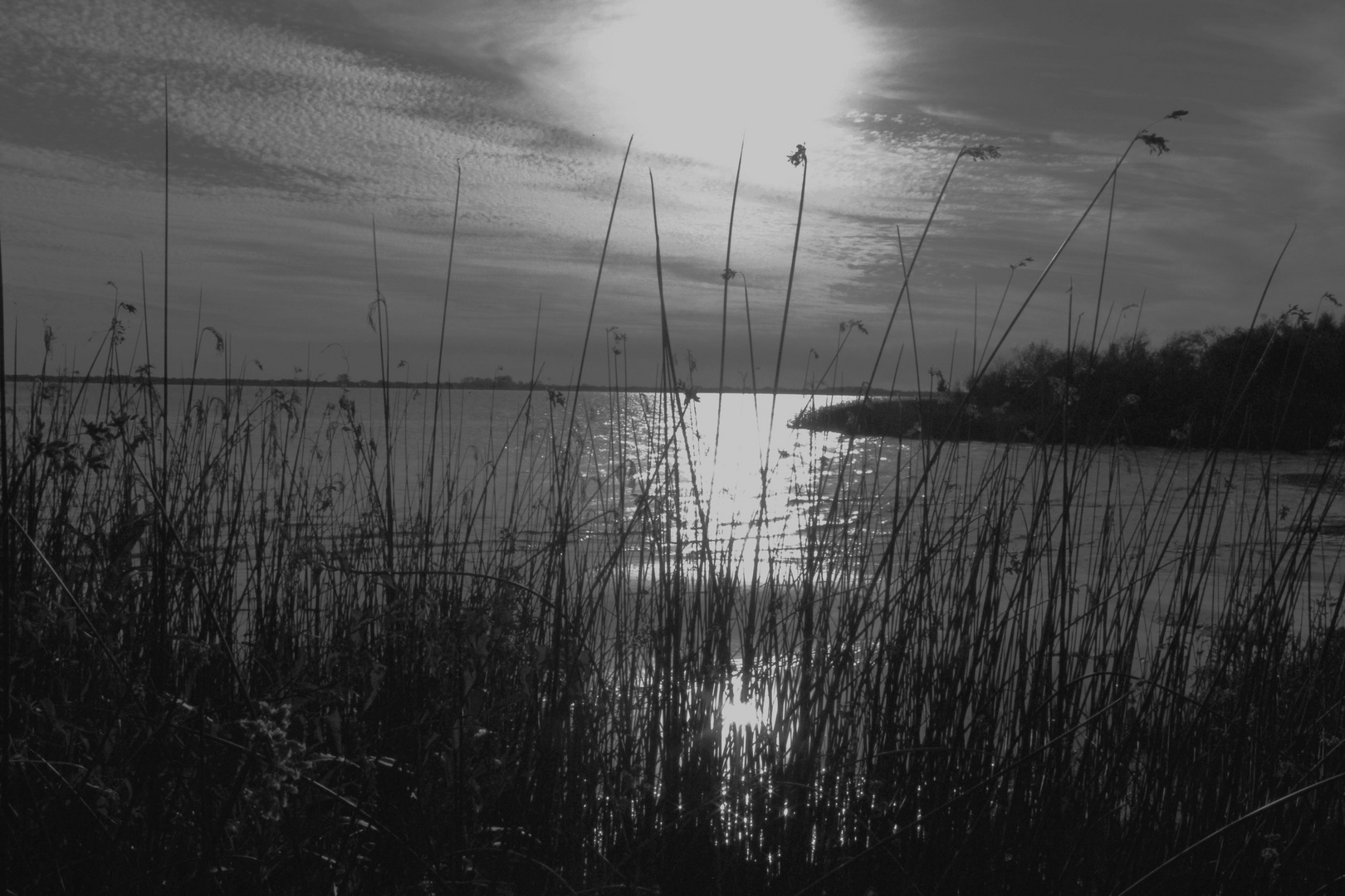 ATARDECER BLANCO Y NEGRO