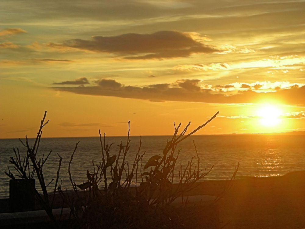 ===Feliz Atardecer=== Atardecer-calido-5ee936fb-a81a-4f20-aad9-98c29bd5382d