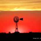 Atardecer campestre