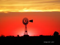 Atardecer campestre