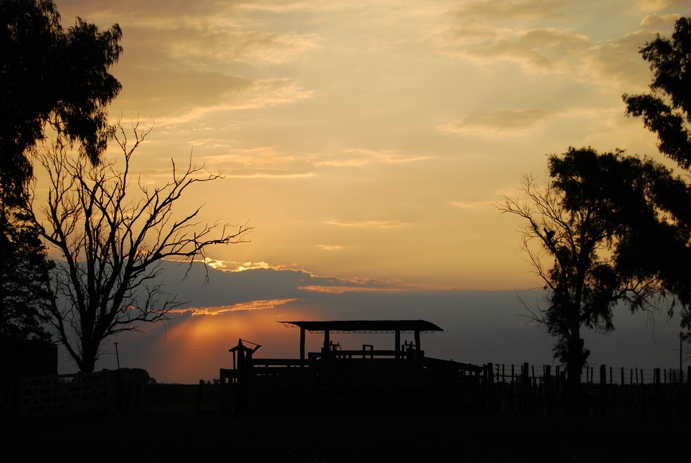 Atardecer Campestre