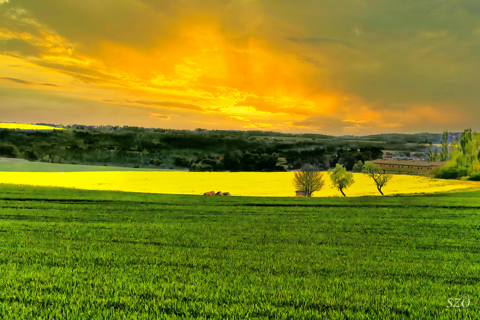 Atardecer campestre