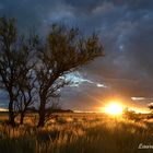 Atardecer campestre