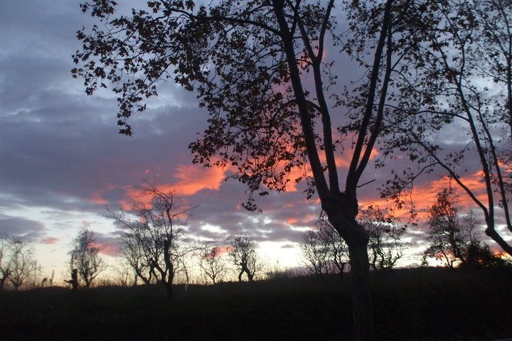 atardecer contigo.