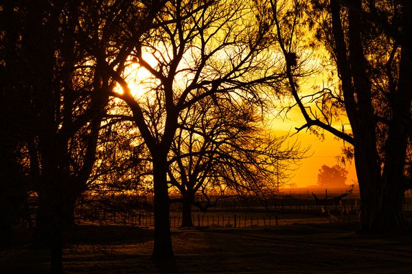Atardecer de Invierno