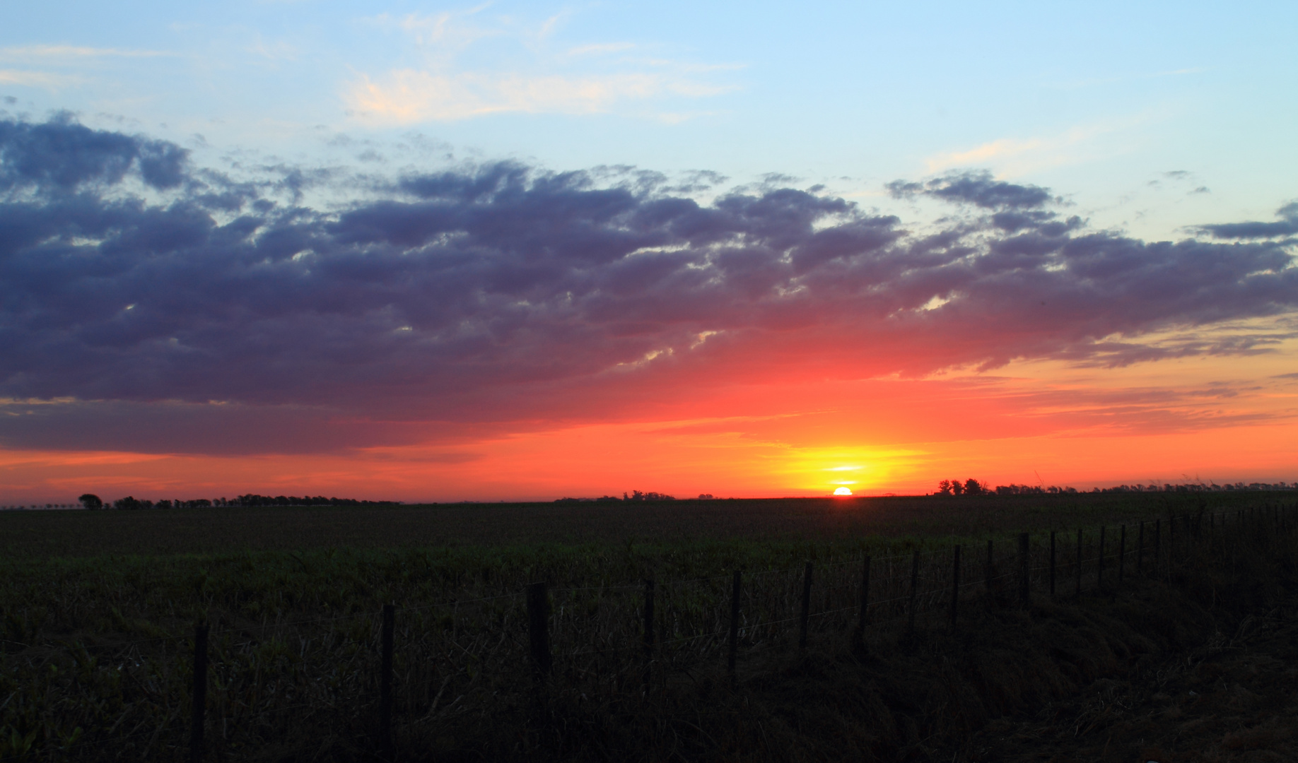 Atardecer de llanura