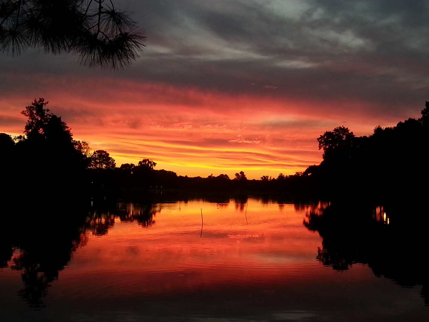 Atardecer de los guerreros