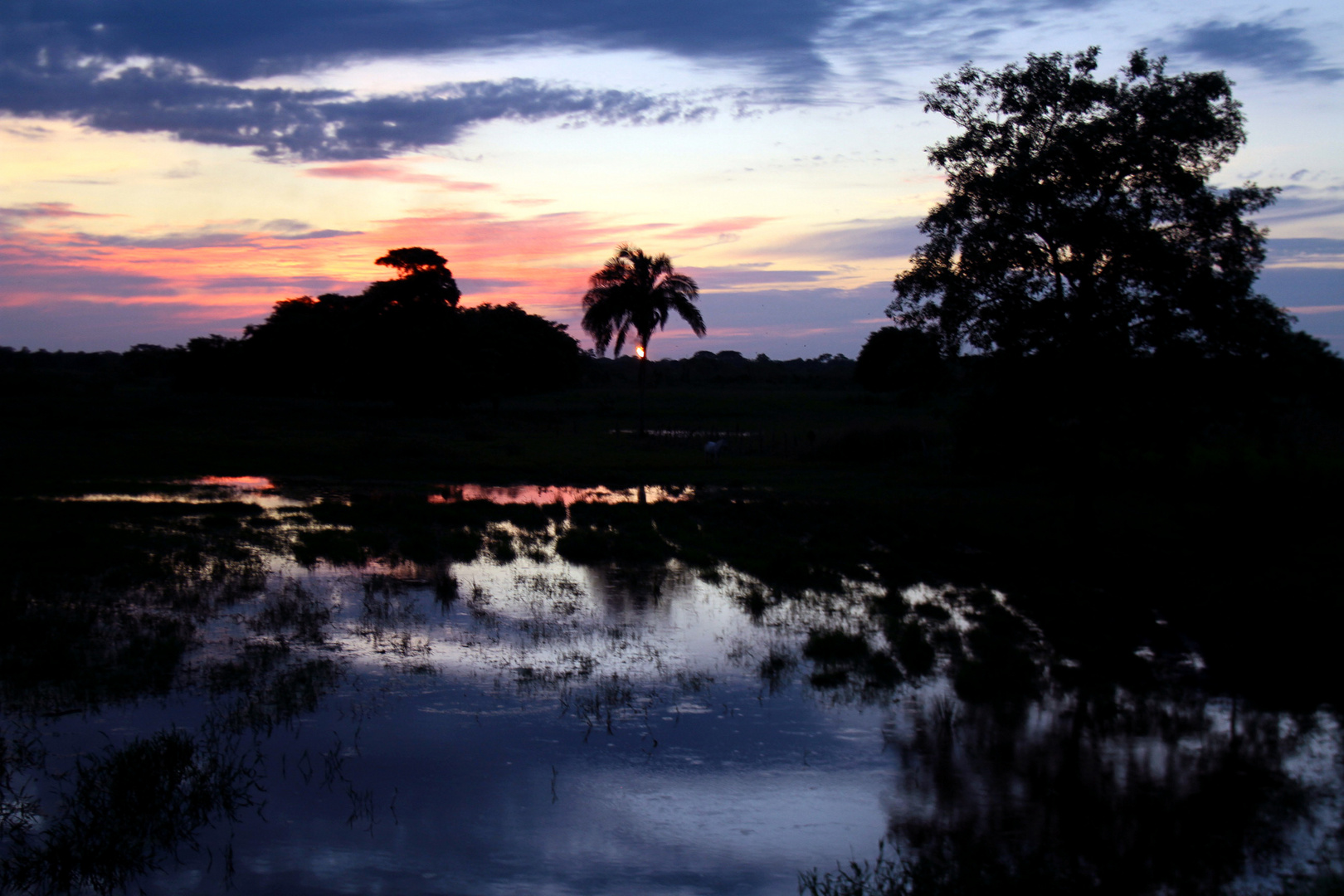 atardecer de octubre