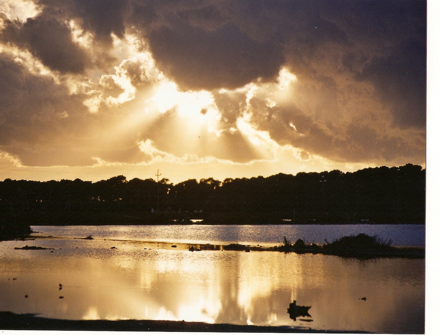 Atardecer de oro