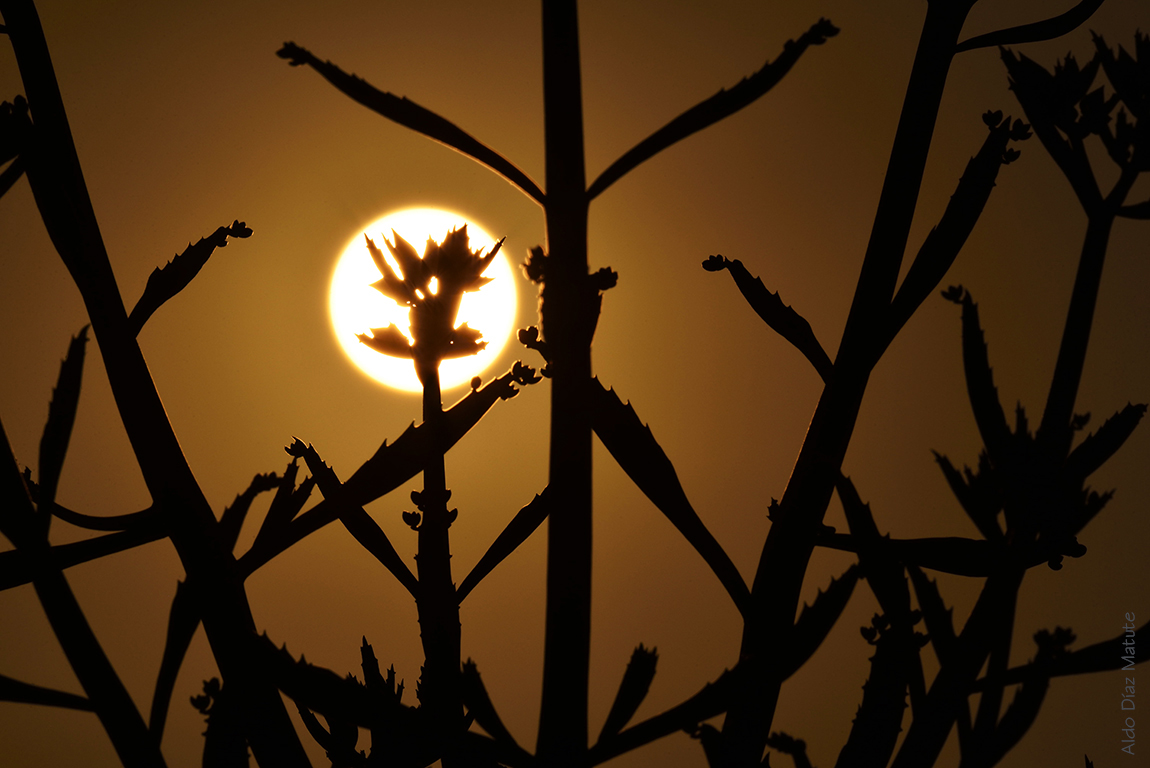 Atardecer de otoño.