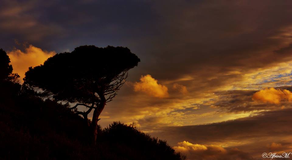 atardecer de otoño