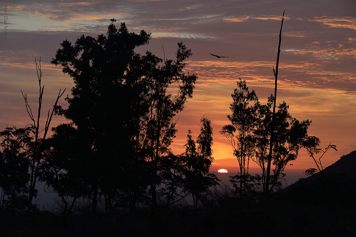 Atardecer desde Lachay