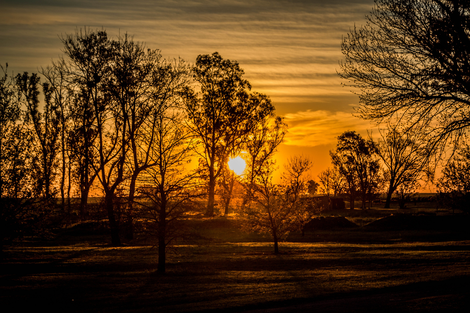 Atardecer dorado