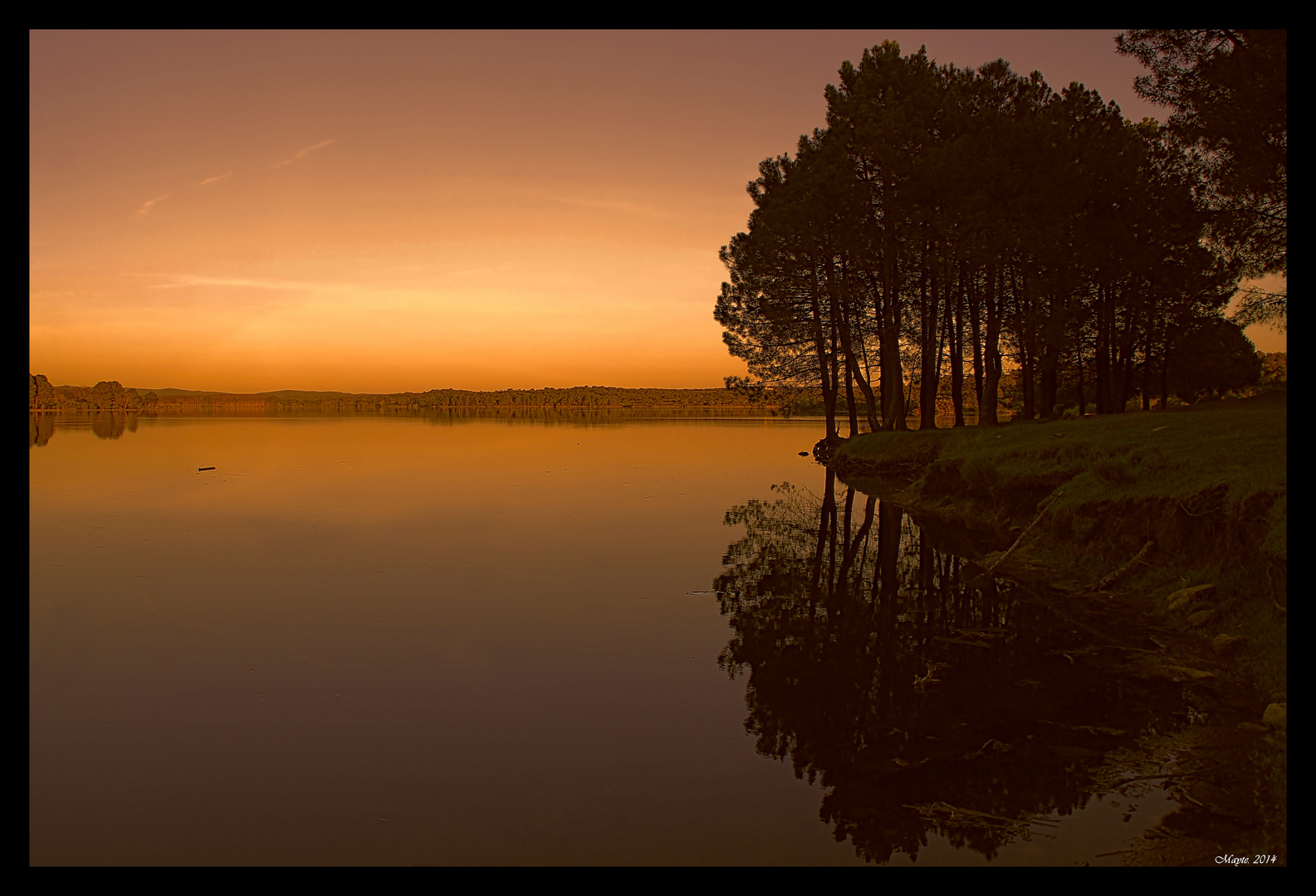 Atardecer dorado....