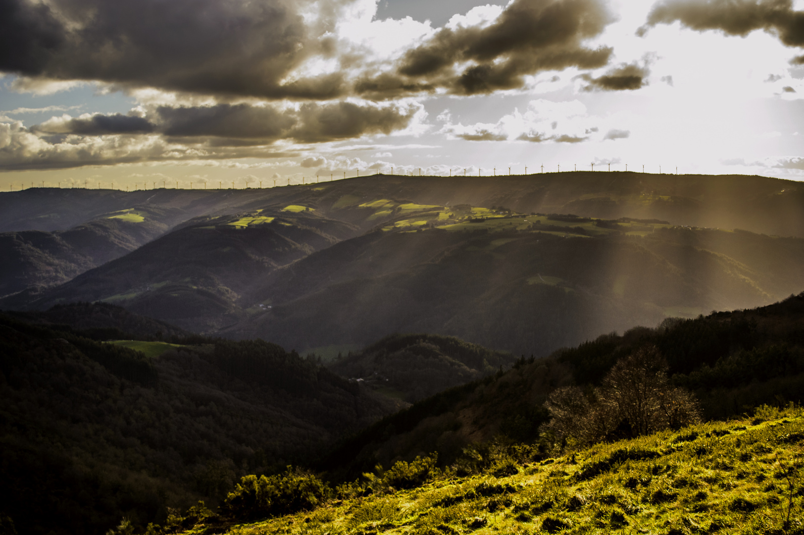 Atardecer dorado