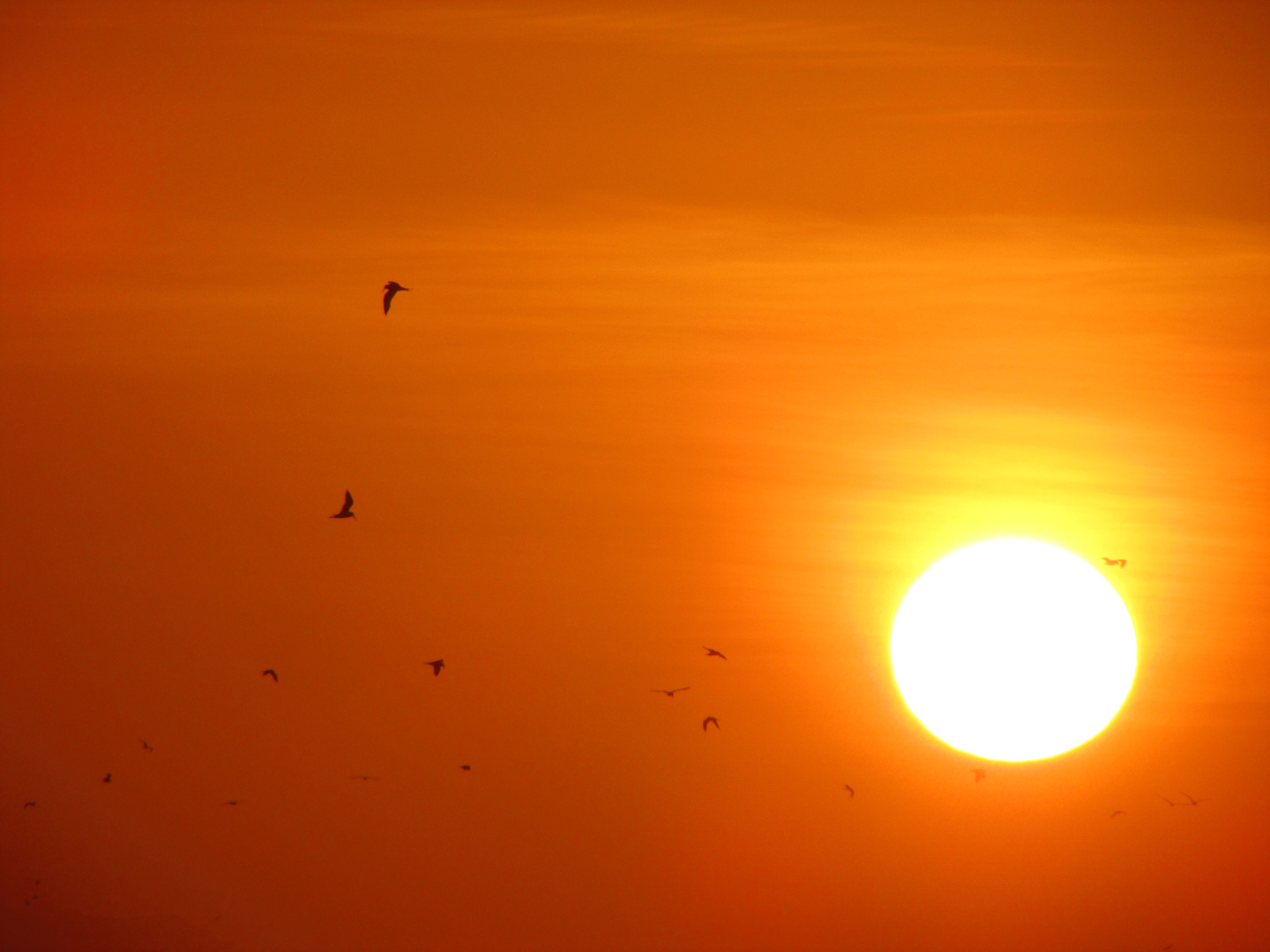 Atardecer en Arica, Chile.