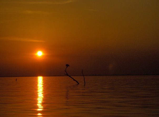 Atardecer en calabozo Guarico.