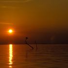 Atardecer en calabozo Guarico.