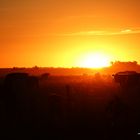 Atardecer en Camino Panelo