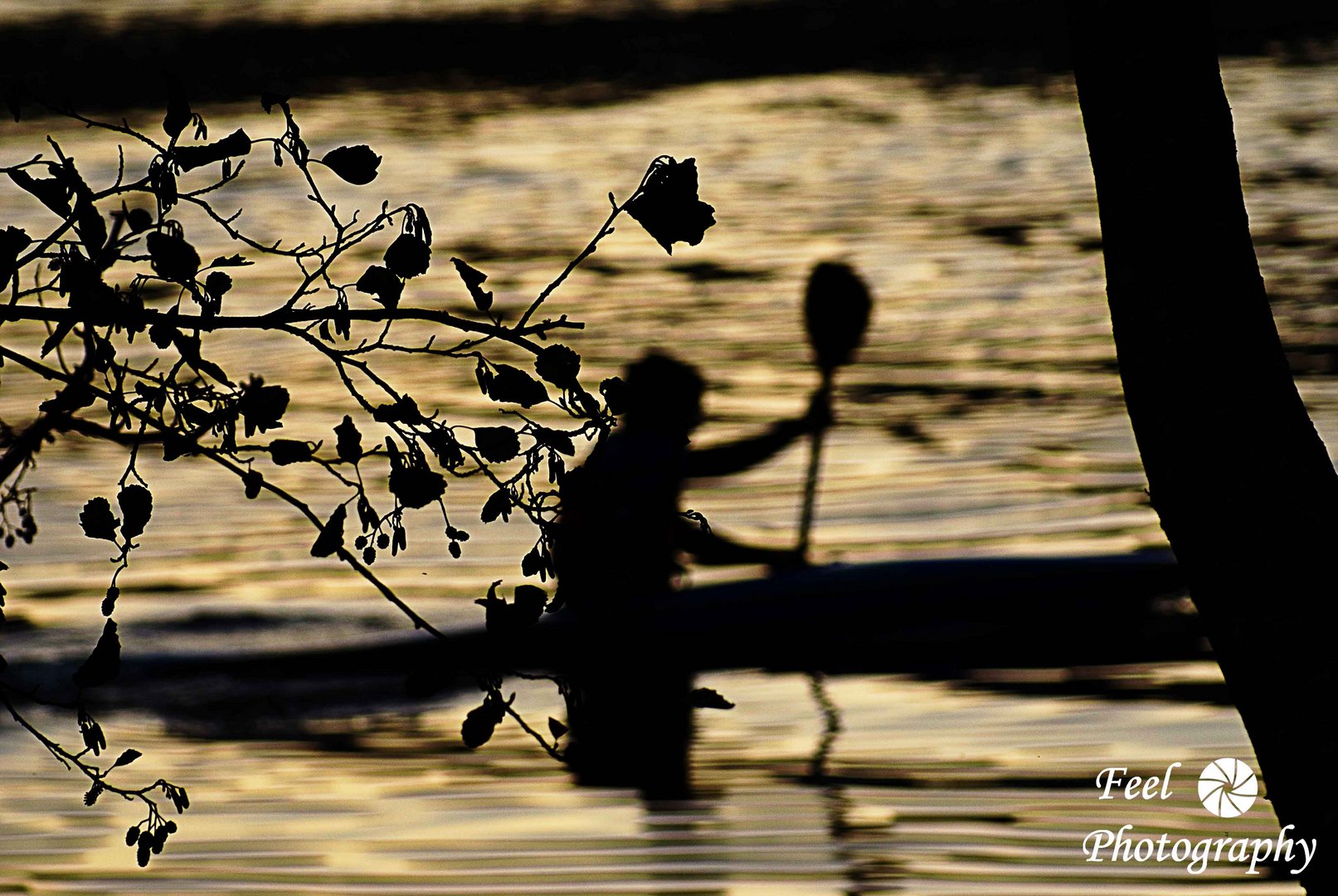 ATARDECER EN CANOA