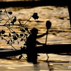 ATARDECER EN CANOA