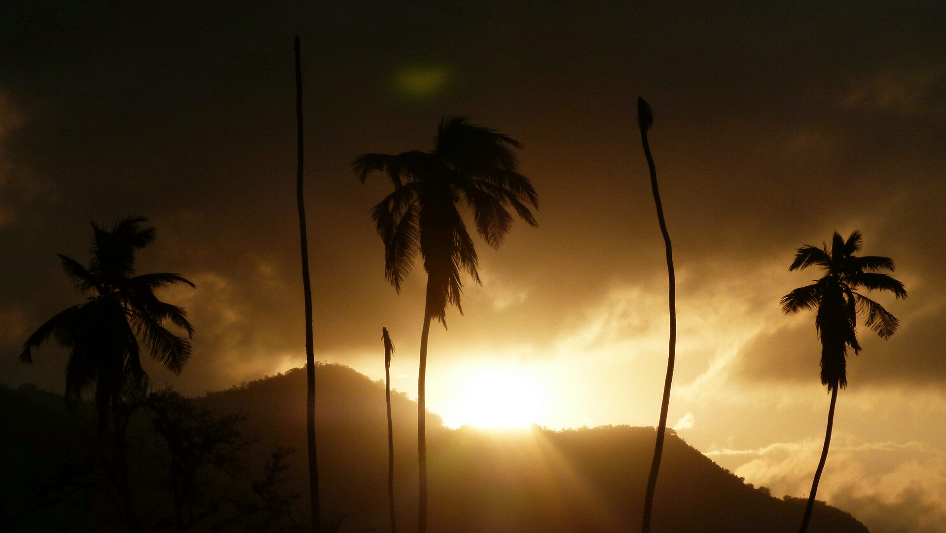 Atardecer en Choroní