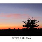 ATARDECER EN COSTA BALLENA