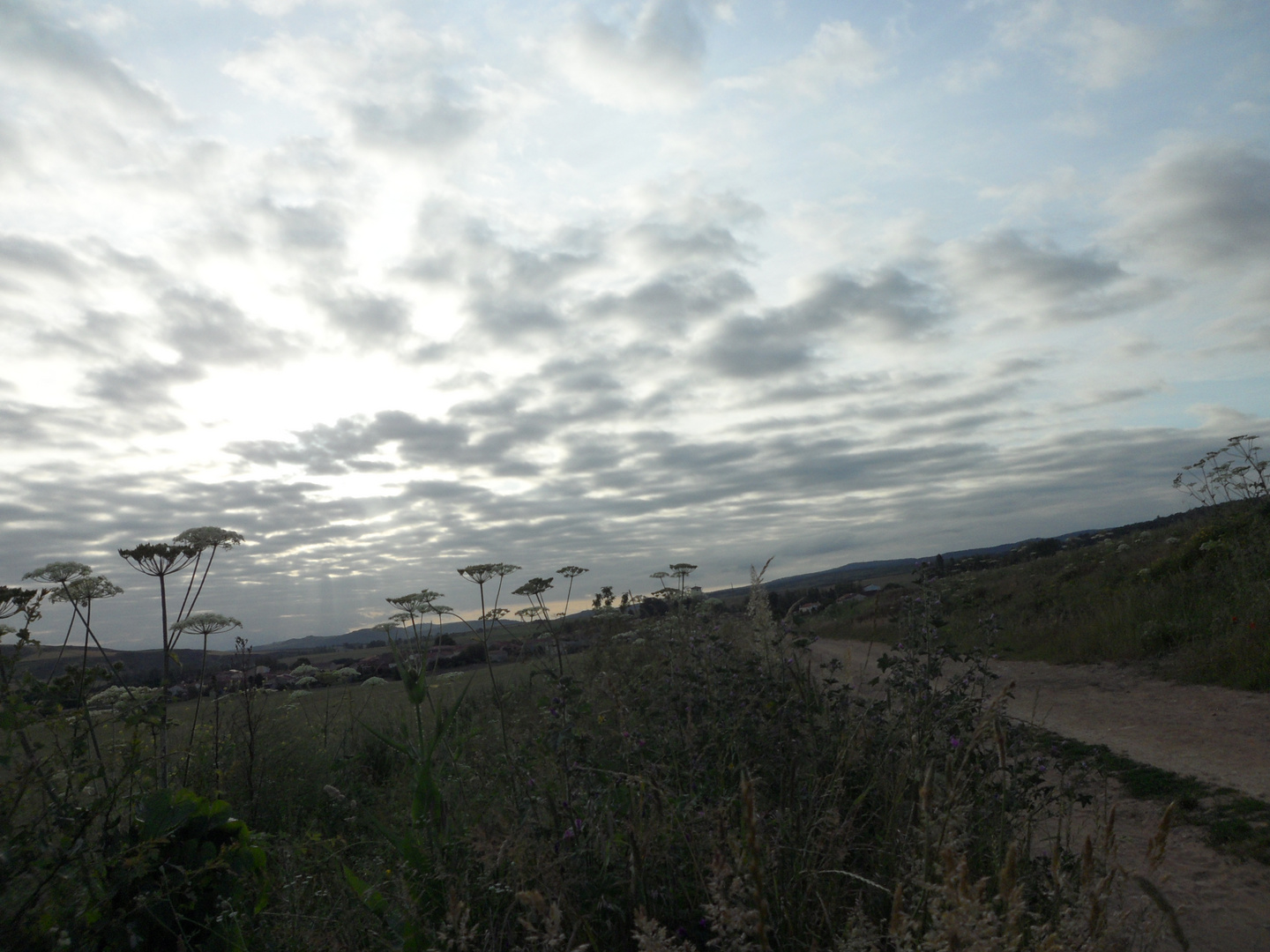 atardecer en el camino