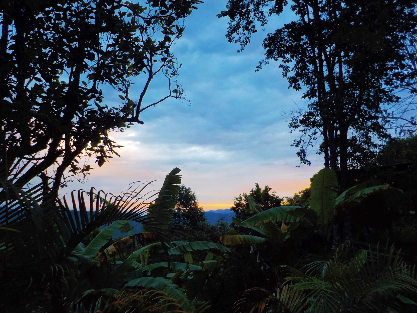 Atardecer en el campo