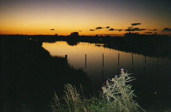 Atardecer en el campo