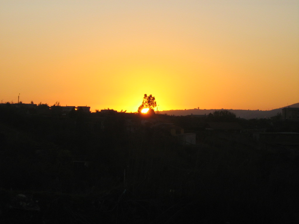 Atardecer en el campo