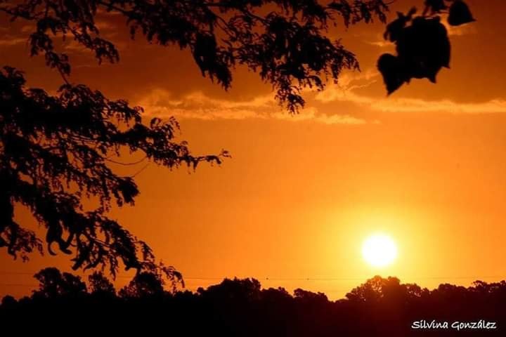 Atardecer en el campo