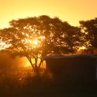 atardecer en el chaco argentino