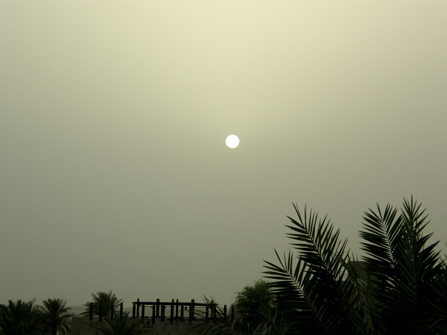 Atardecer en el desierto