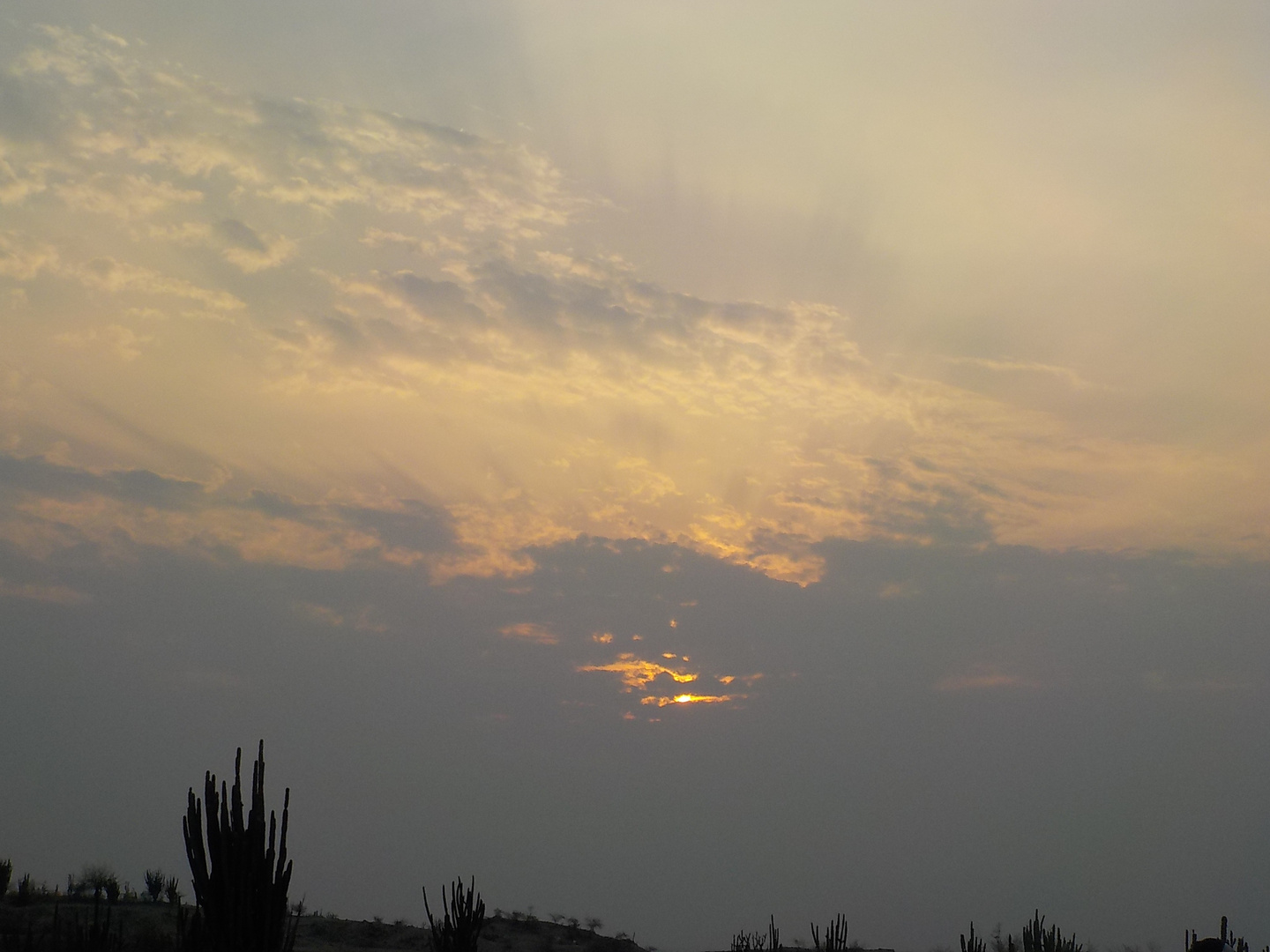 Atardecer en el desierto