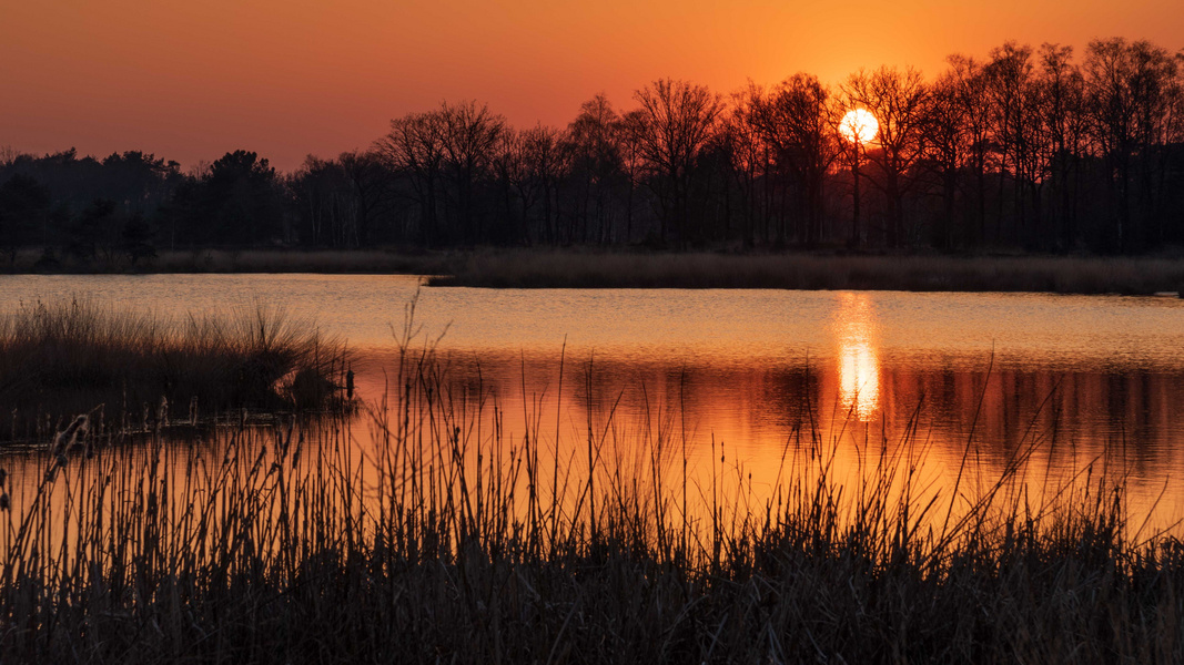 Atardecer en el lago