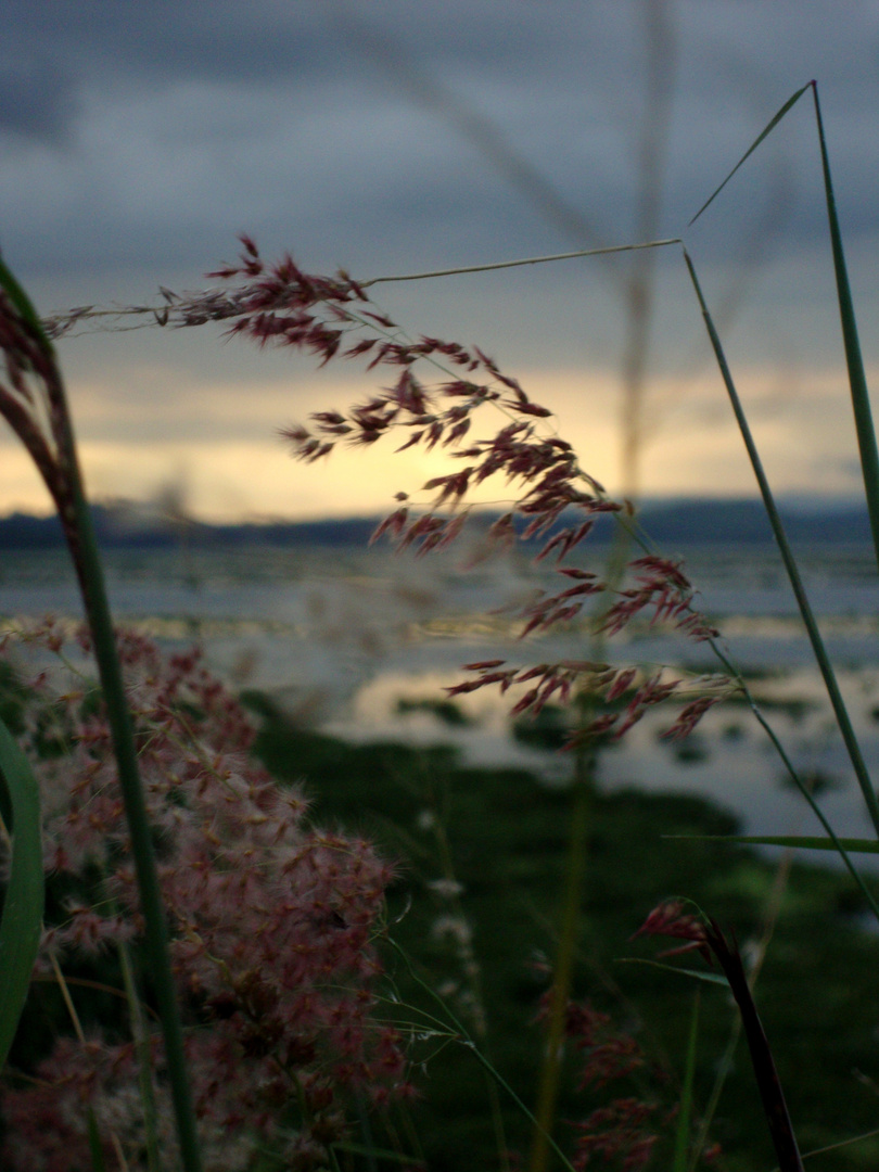 atardecer en el lago