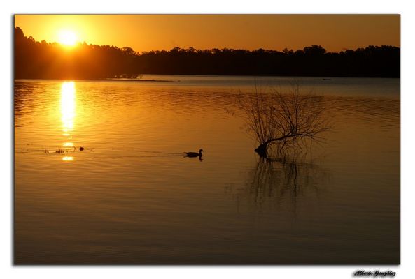 Atardecer en el lago