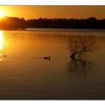 Atardecer en el lago