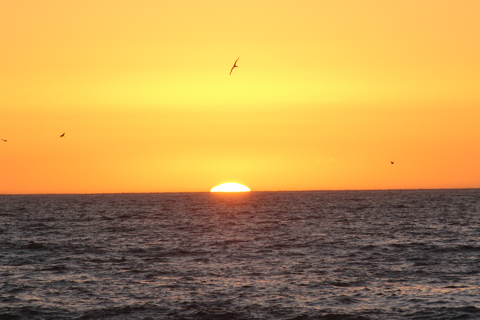 Atardecer en el mar de Viña