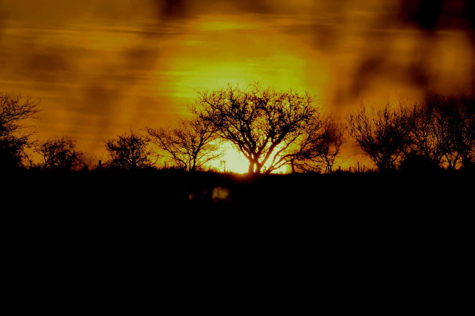 atardecer en el monte