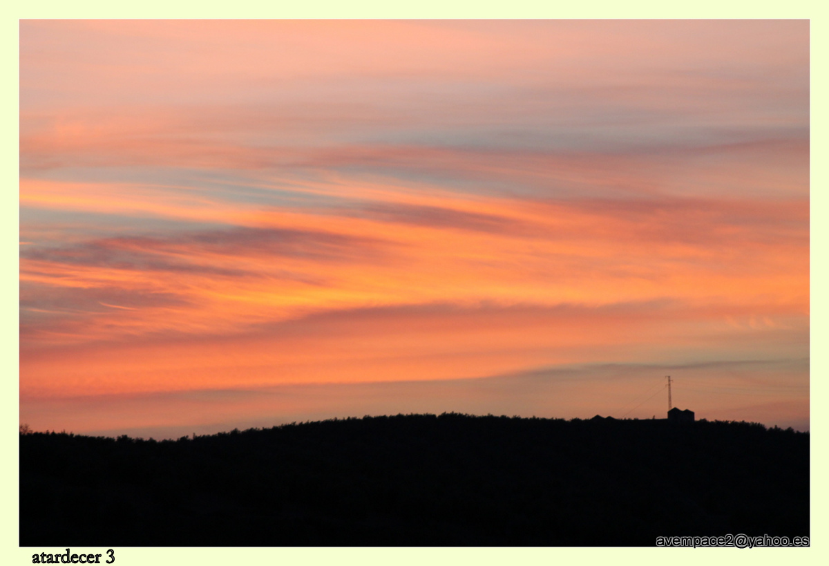 atardecer en el olivar