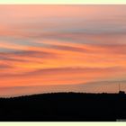 atardecer en el olivar