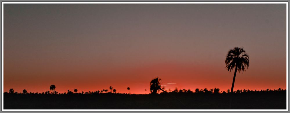 atardecer en el palmar