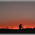 atardecer en el palmar